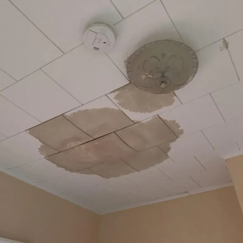 Ceiling Water Damage Repair in Leith-Hatfield, PA
